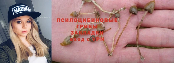 мяу мяу мука Бугульма