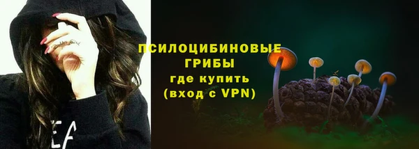 экстази Бородино