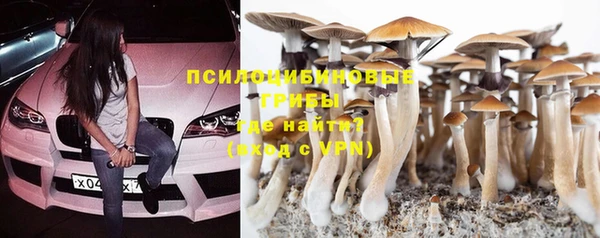экстази Бородино