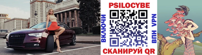 сколько стоит Грязовец blacksprut tor Галлюциногенные грибы мицелий