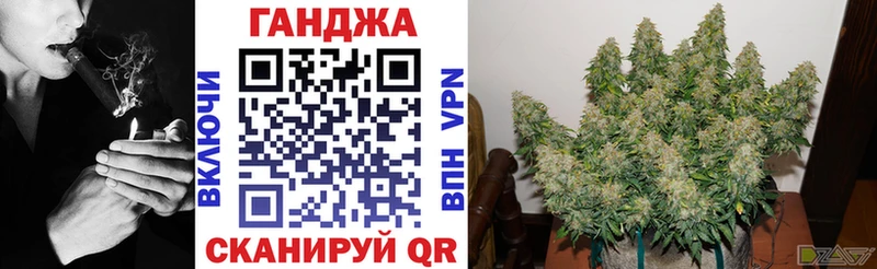 omg зеркало  Грязовец  Марихуана тримм 